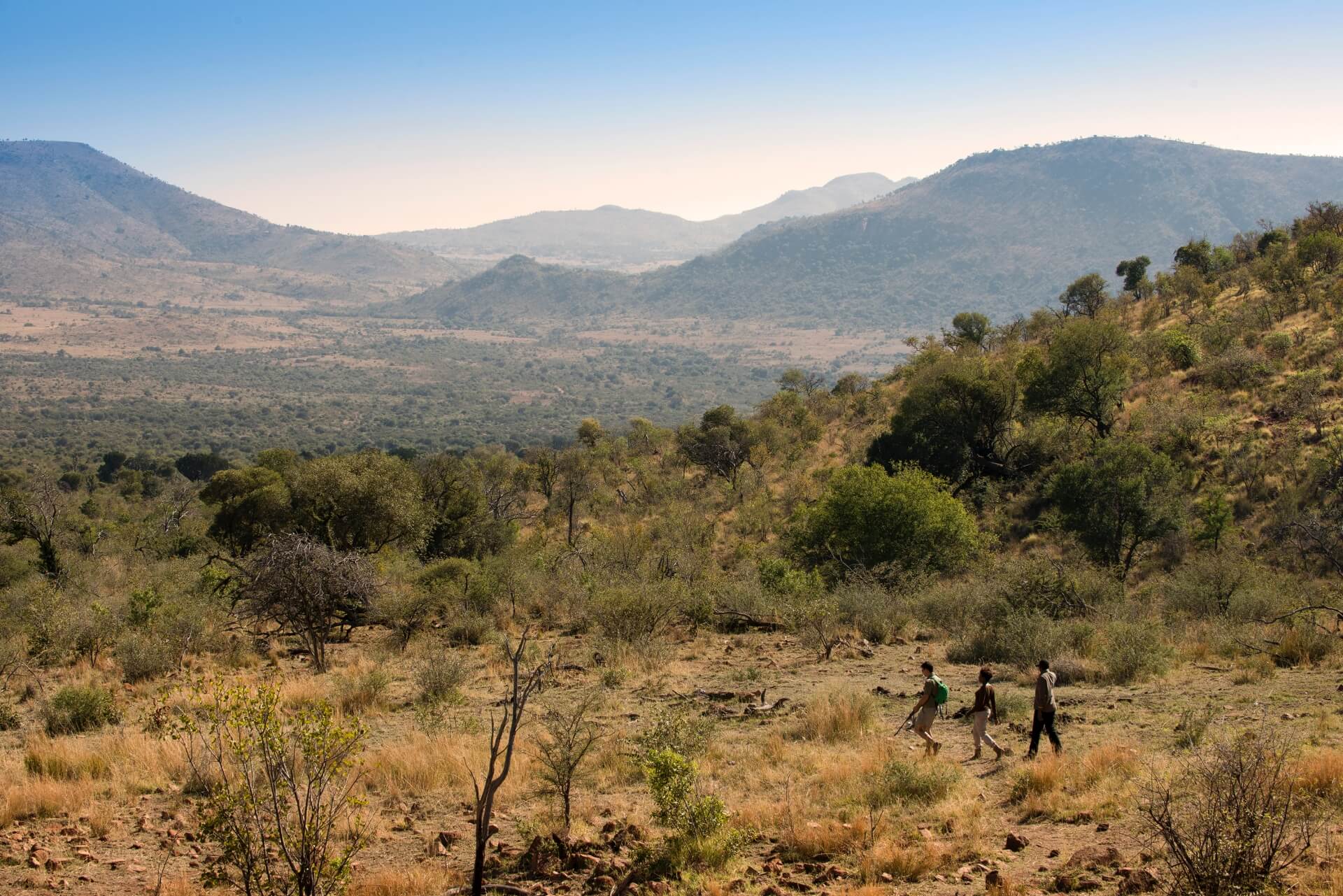 Bakubung Bush Lodge