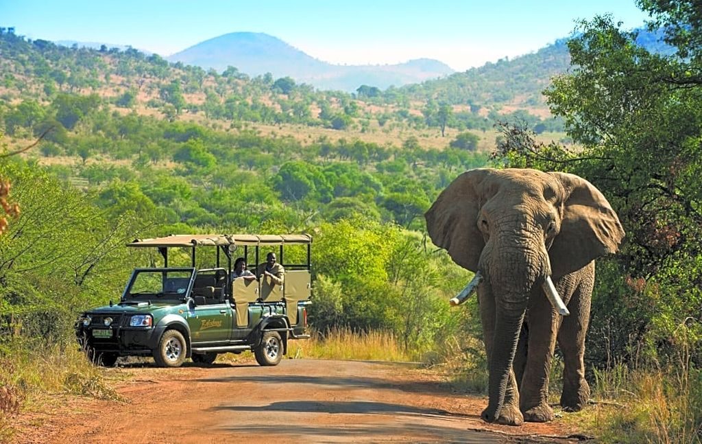 Bakubung Bush Lodge