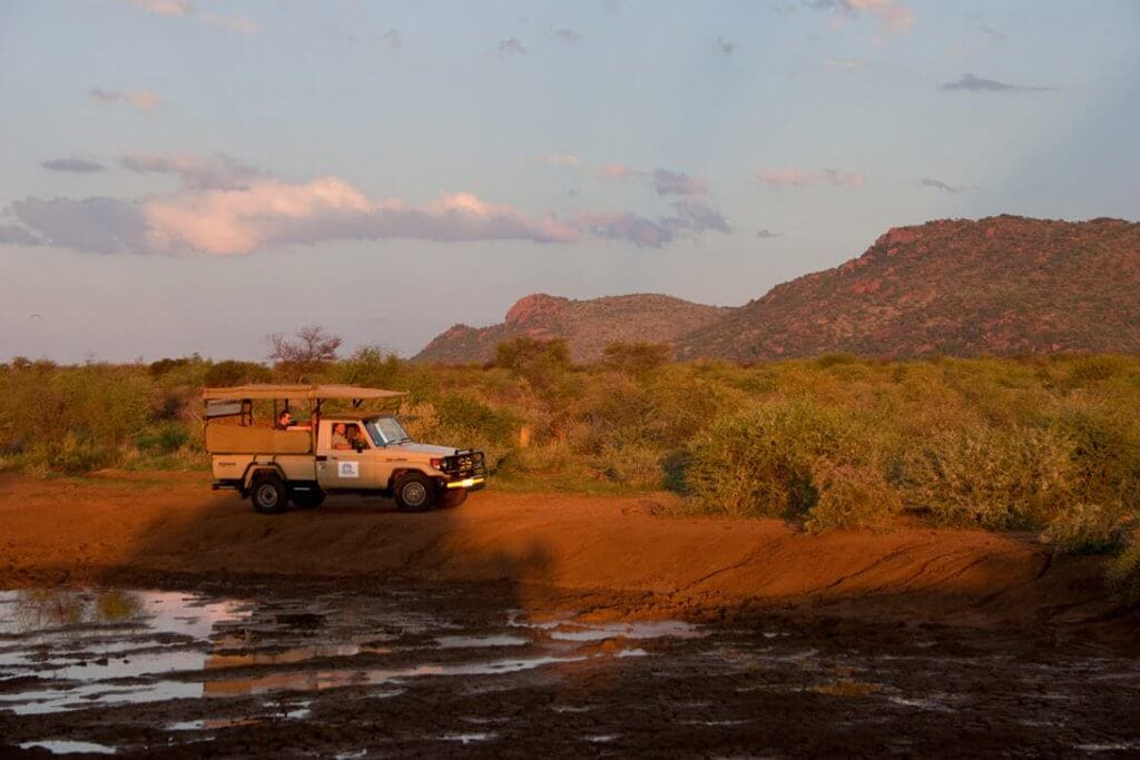Buffalo Thorn Lodge