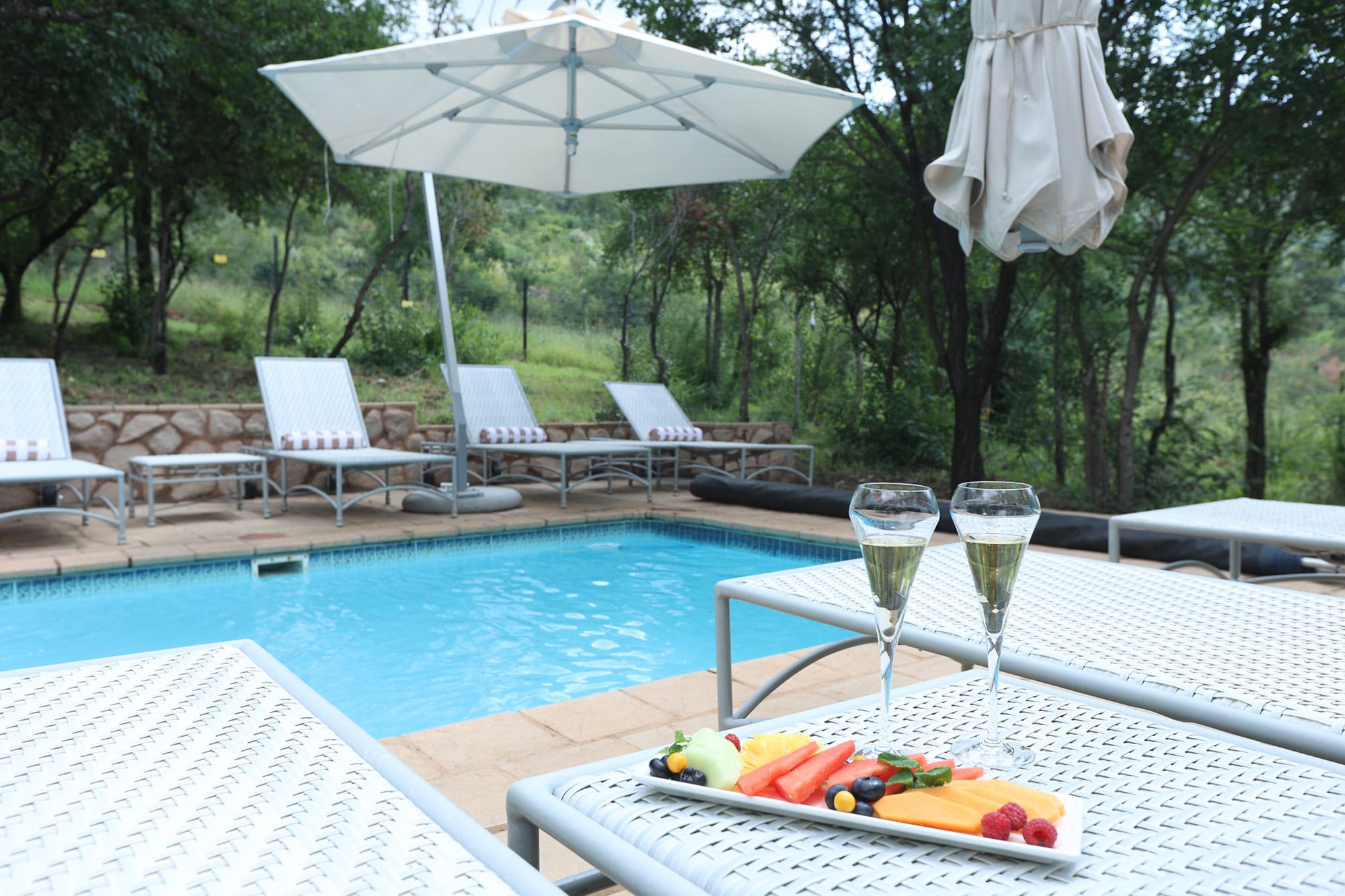 Ivory Tree Game Lodge