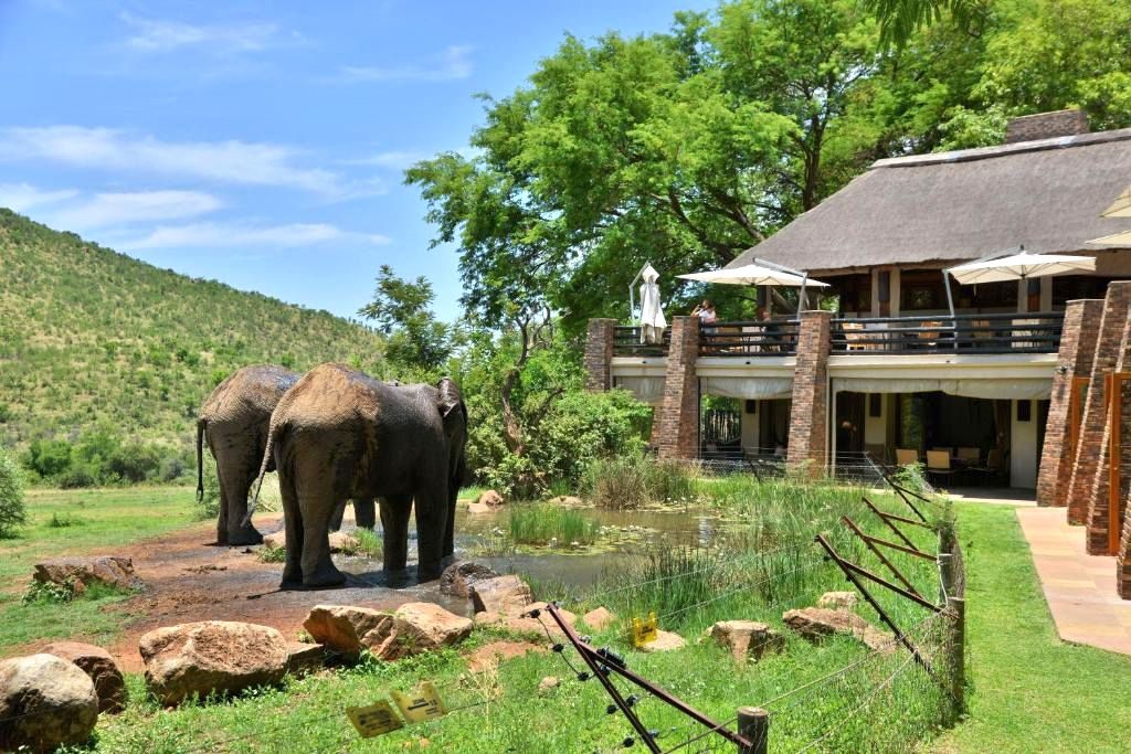 Kwa Maritane Bush Lodge