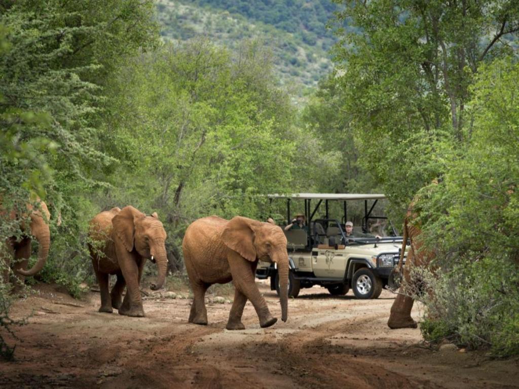 Mbazo Safari Lodge