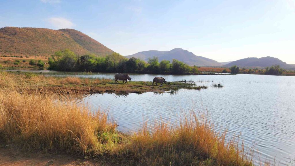 Morokolo Safari Lodge