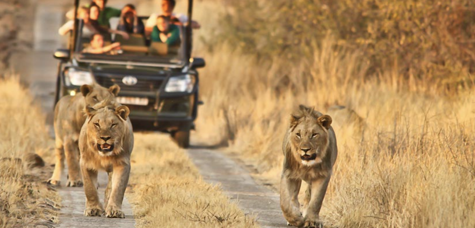 Morokolo Safari Lodge