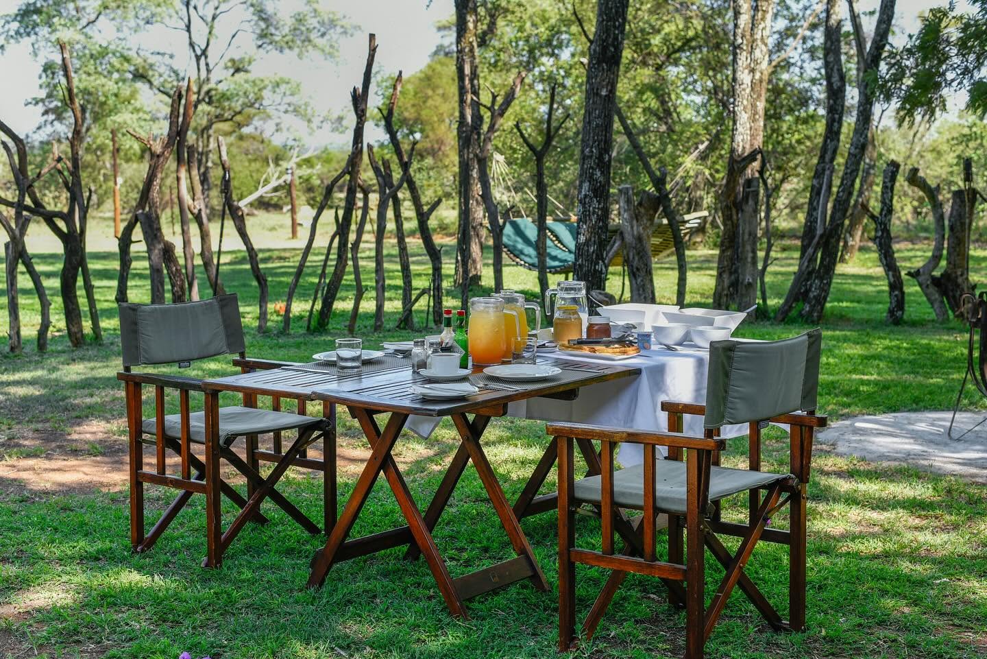 Mziki Safari Lodge