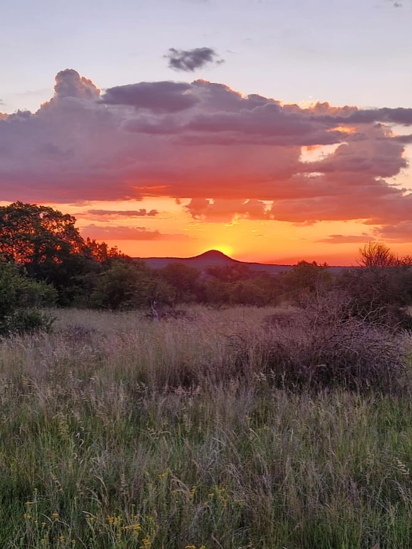 Mziki Safari Lodge