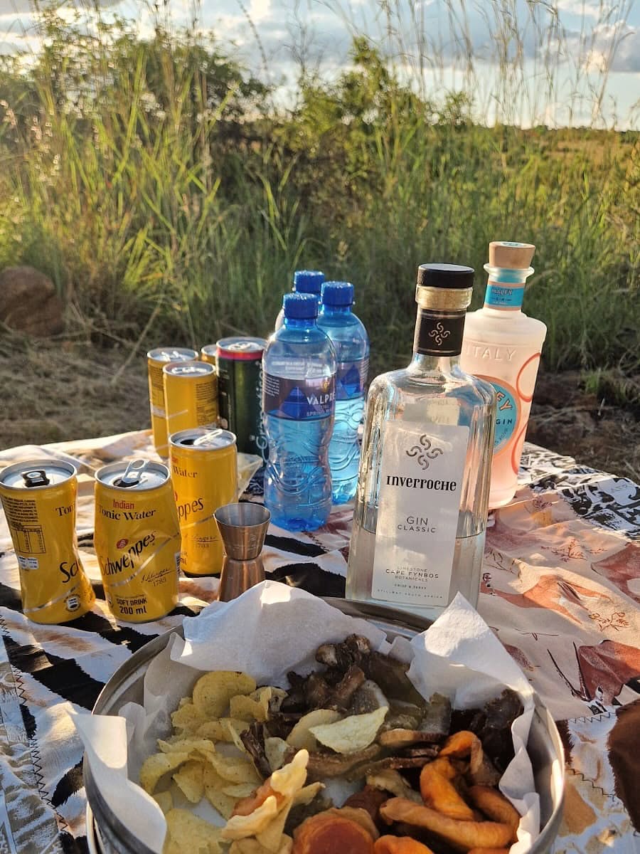 Mziki Safari Lodge