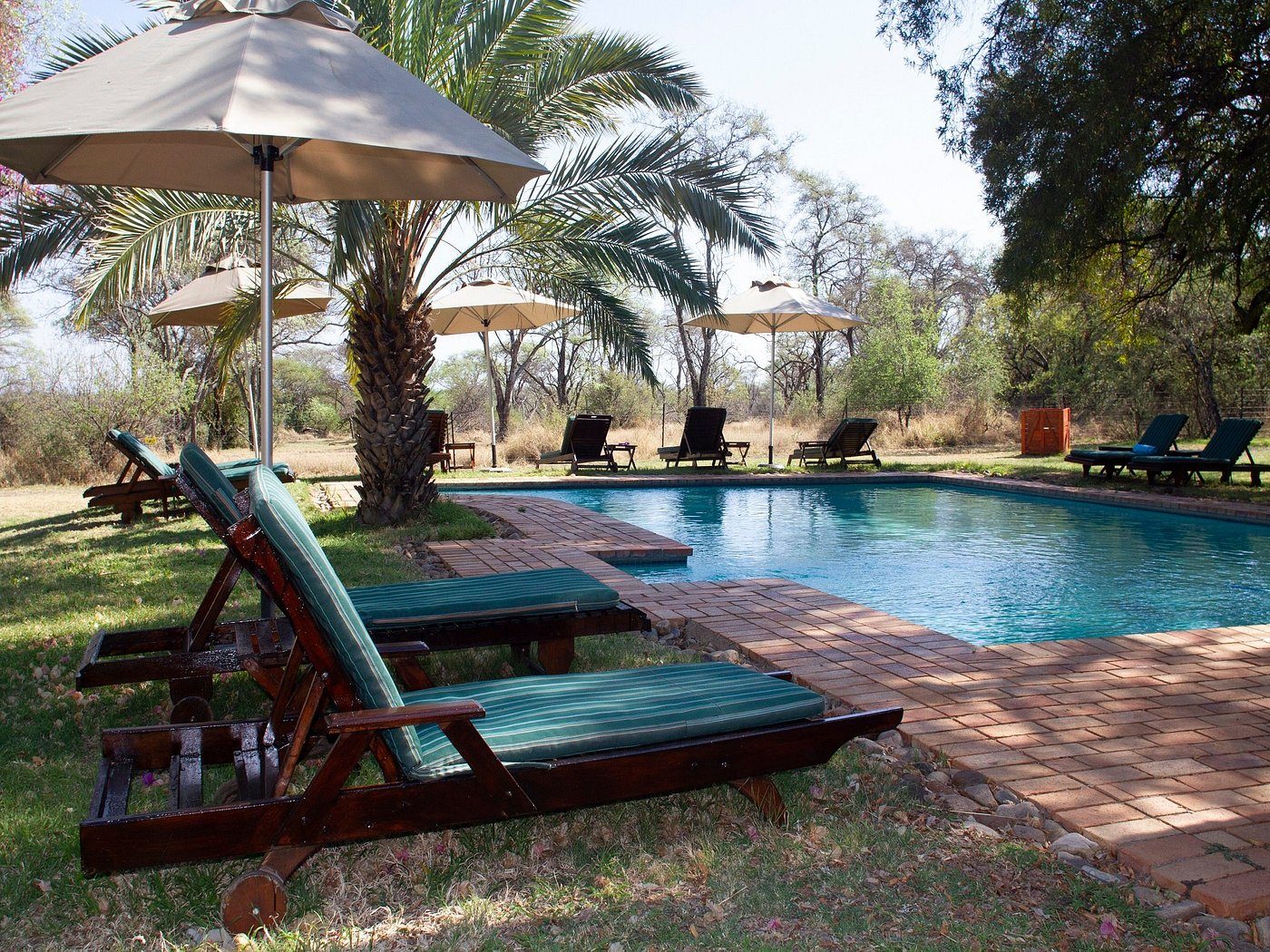 Mziki Safari Lodge