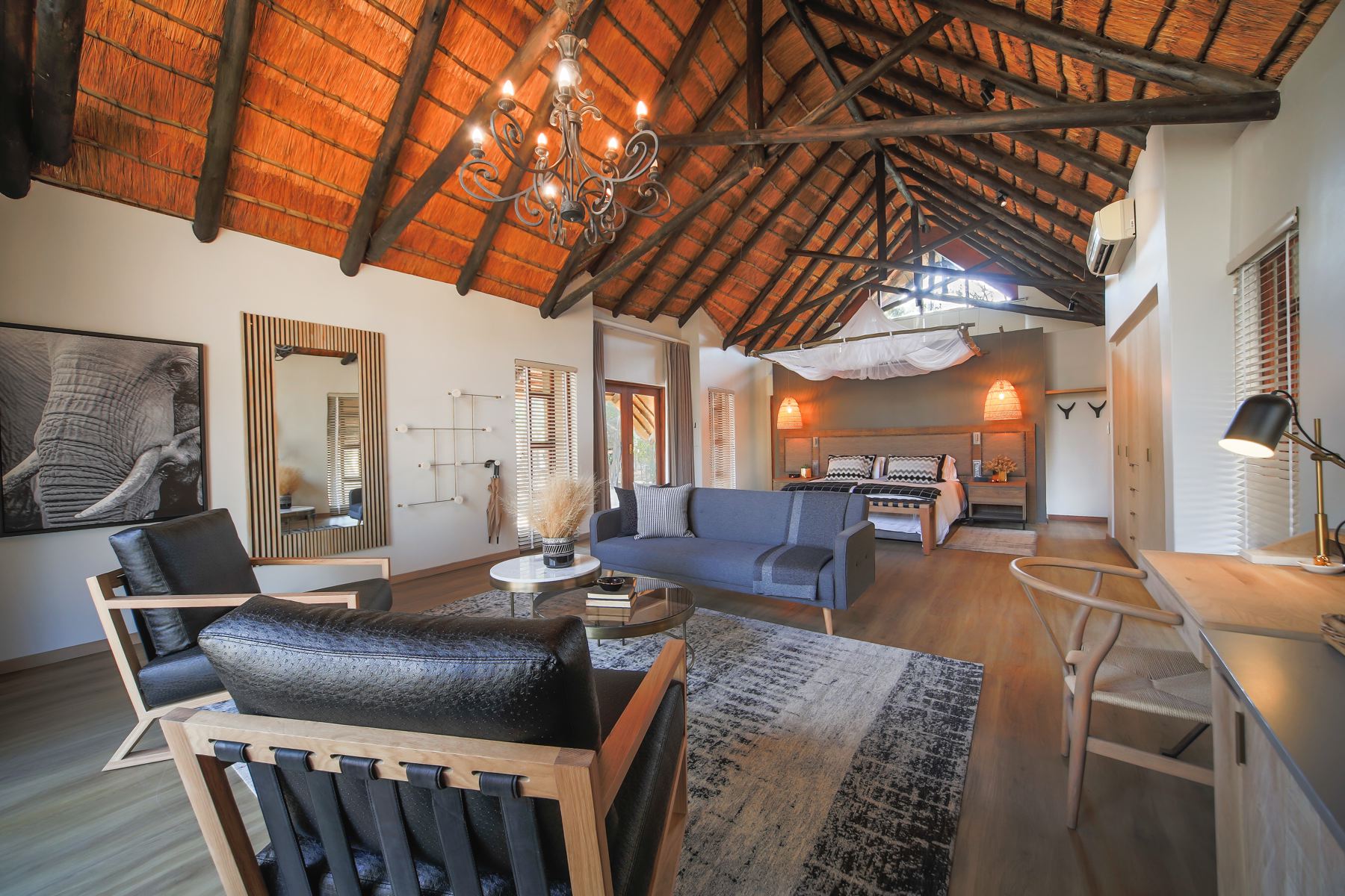 Leopard Suite photo