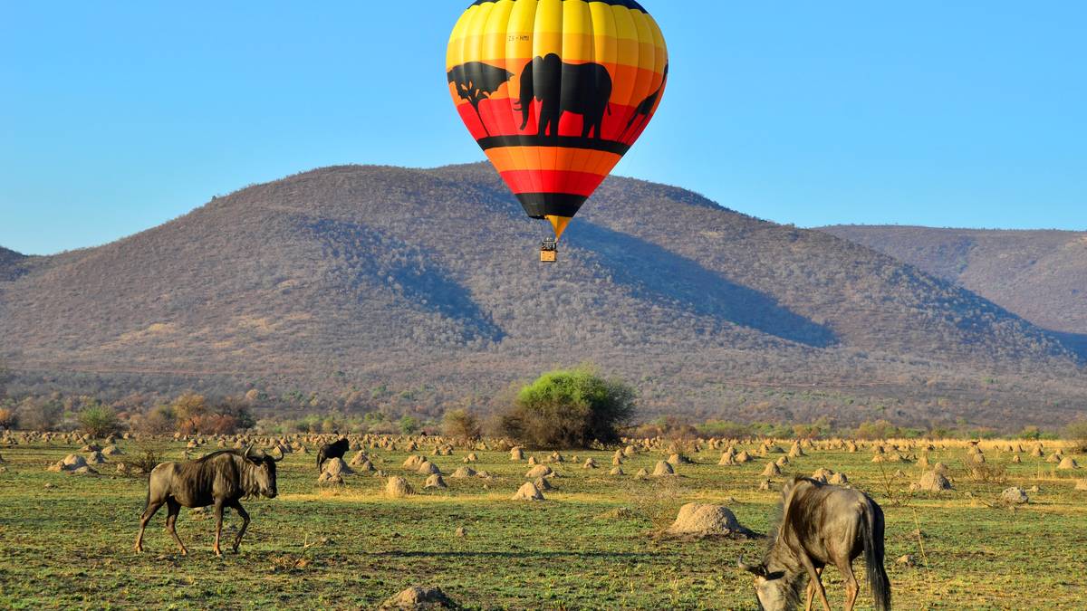 Hot Air Balloon Safari '26