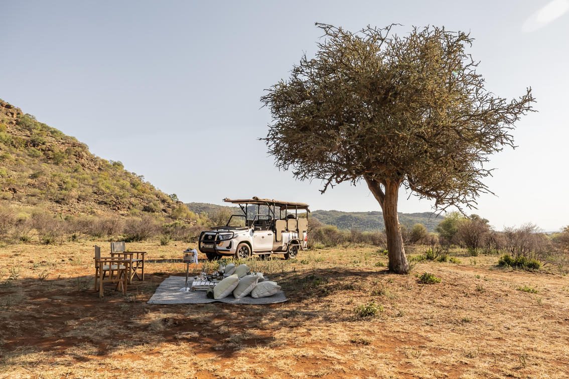 Pilanesberg Geology