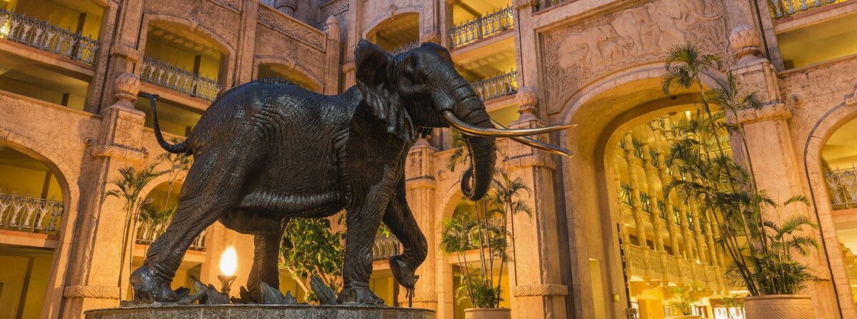 The Palace of The Lost City Hotel