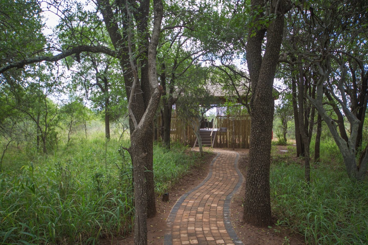 Tsholo Safari Lodge