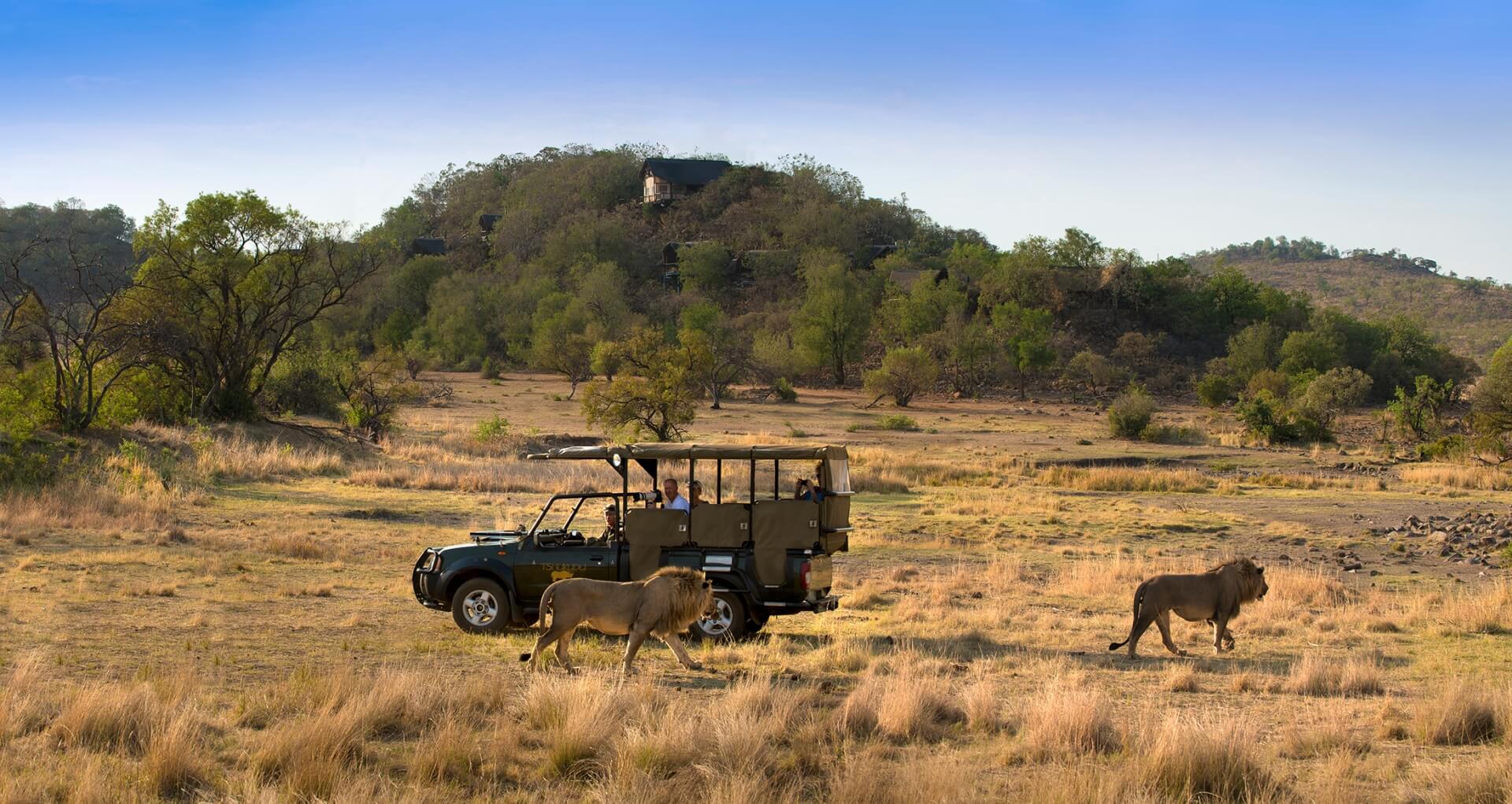 Tshukudu Bush Lodge