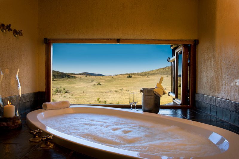 Tshwene Deluxe Suite photo